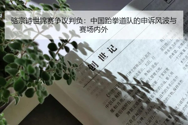 骆宗诗世锦赛争议判负：中国跆拳道队的申诉风波与赛场内外